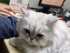 -宠颐生宠物医院外科·内科·皮肤科·影像科(石龙店)