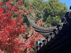-拙政园