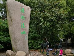 -溱湖国家湿地公园