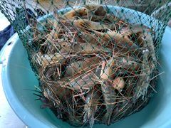 -会江钓鱼钓虾烧烤场