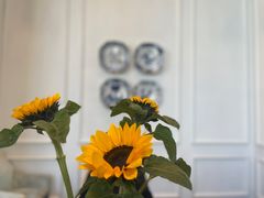 -翠湖宾馆·中餐厅