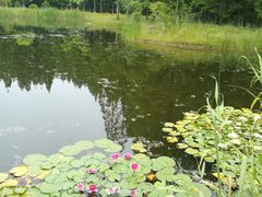 -黄海国家森林公园