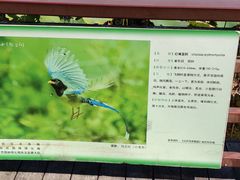 -绿堤公园