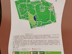 -大兴滨河森林公园