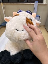 -上海首尔丽格医疗美容医院