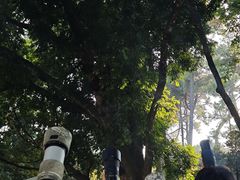 -烈士陵园(地铁站)