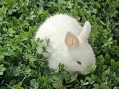 -伴山茶苑·围炉煮茶