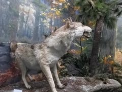 -国家自然博物馆