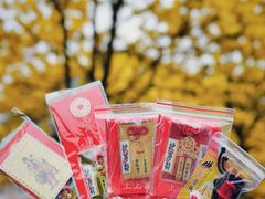 -光孝寺