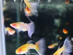 -海上海弘基休闲广场