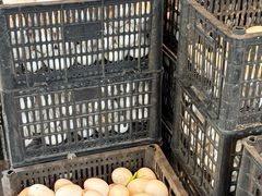 -单家老院·院子里的青岛菜(沙子口店)
