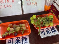 -马陆小张葡萄园农家乐