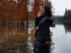 -白鹭湾湿地公园