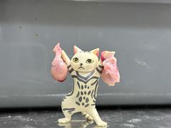 -瑞派名望志远动物医院·猫科·內科·异宠专科(直港大道店)