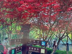 -大连植物园