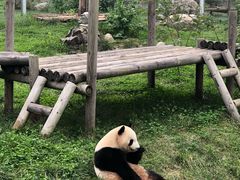 -西安秦岭野生动物园