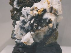 -安徽省地质博物馆