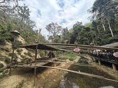 -西双版纳原始森林公园