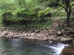 -南山民肴·乡土徽菜(豪辰俪景店)