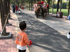 -杨柳青庄园
