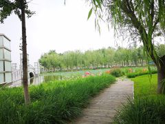 -廊坊文化艺术中心