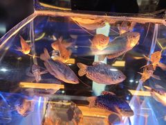-海合安青岛极地海洋公园