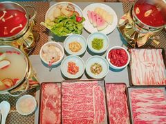 -诺莱仕游艇会