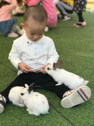 -萌宠亲子动物乐园(槐房万达店)