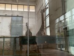 -石家庄市动物园