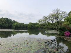 -西湖游船