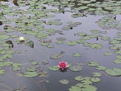 -金银湖国家城市湿地公园