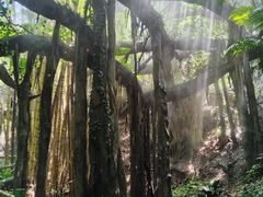-青青世界