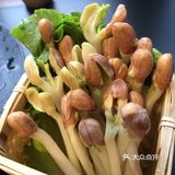 暗黑风系列装饰的连锁火锅店