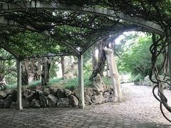 -叶家花园