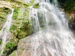 -东天目山风景区
