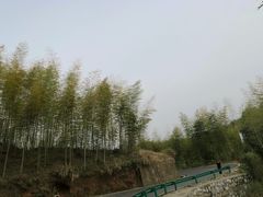-灵山景区梯田