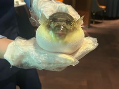 -肆月河豚·淮扬菜·湘菜(华天店)