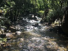 -云岫谷自然风景区
