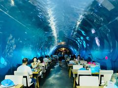 -海棠湾洲际-涛·海底餐厅·美人鱼·自助餐·海底隧道