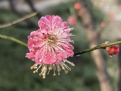 -木塔寺遗址生态公园