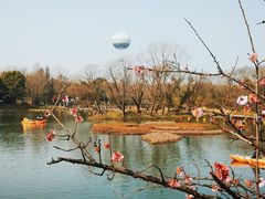 -西溪国家湿地公园