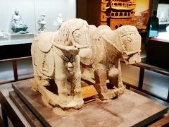 -宁夏博物馆