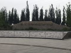 -永定河休闲森林公园