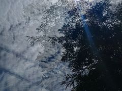 -户县老龙窝酒厂