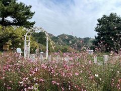 -云峰山自然风景区