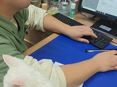 -瑞鹏宠物医院·宠保定点·心脏科·内科(御桥分院)