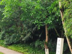 -重庆彩云湖湿地公园