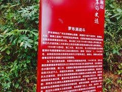 -黄埔油麻山森林公园