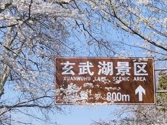 -鸡鸣寺