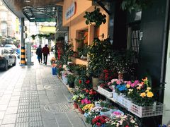 -溪岸路花鸟市场
